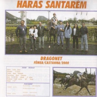 Haras Santarem