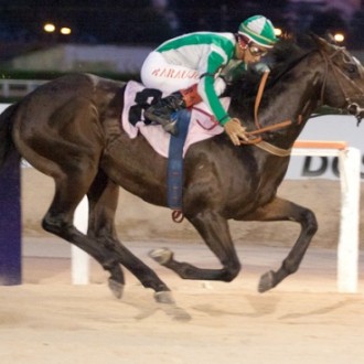 Tarumã – 16/12/2011