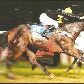 Cidade Jardim – 11/08/2012 – AROEIRA