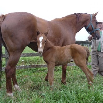 Bárbara Mel, a primeira filha de Bárbara do Truc – 13/07/2014