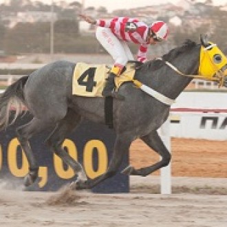 Tarumã – 24/08/2012 – BEDUÍNO DO BRASIL