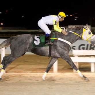 BEDUÍNO DO BRASIL leva a Taça “Hipódromo do Tarumã”