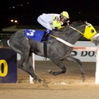 FILHO DE IMPRESSION ASSUME A LIDERANÇA DA GERAÇÃO NO TARUMÃ AOS 2 ANOS – PR: Beduíno do Brasil deu “show” e assumiu a liderança – 16/06/2012