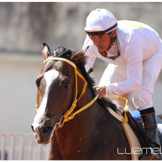 Uvaranas – 26/01/2013