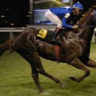 SP: Berlino di Tiger vence com sobras e é favorito antecipado do “ABCPCC” – 22/04/2012