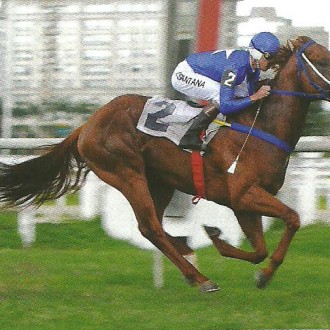 Cidade Jardim – 07/01/2012