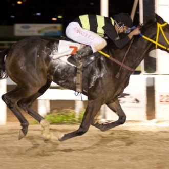 Tarumã – 22/07/2011