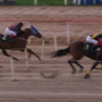 TURFE PARANAENSE: CUSCO vence e Haras Belmont Ltda. disputará a final com uma parelha