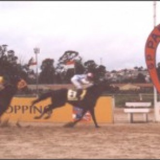 CYLLARUS, PARME em PLIM PLIM (Slew City Slew),  VENCE O GP GOVERNADOR DO ESTADO – G.III