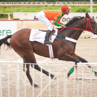 Tarumã – 15/03/2013 – CZAR KING