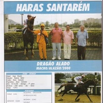 Dragão Alado / Macho Alazão / 2000