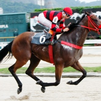 Dá-lhe Austrália atropela com disposição e leva pesos especiais 8/1/2012