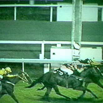 Cidade Jardim – 20/02/2006