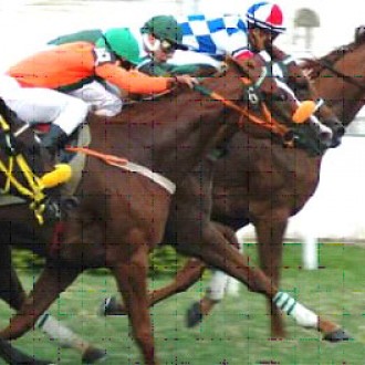 Mais uma vitória de animal paranaense em prova de Grupo 2 em Cidade Jardim