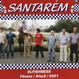 CIDADE JARDIM – 20/01/2007 – ELFISHNESS