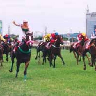 Cidade Jardim 17/10/2004 – 7º Páreo GRANDE PRÊMIO DIANA – (Gr.I) – (2ª Prova da Tríplice Coroa de Éguas)