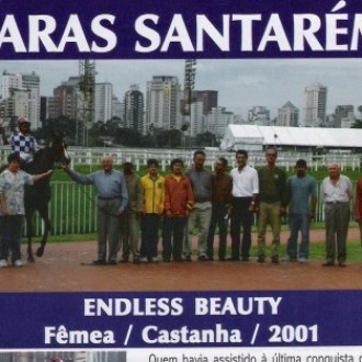Endless Beauty, “made in Paraná” para  São Paulo, Rio de Janeiro…para o mundo..