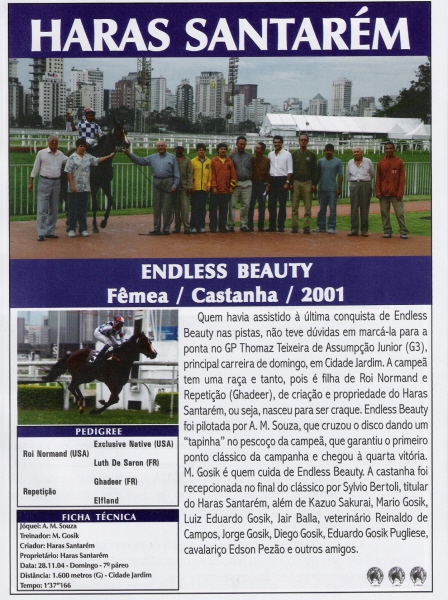 ENDLESS BEAUTY VITORIA 28 11 - Copia