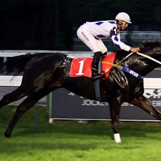 FILHO DE PIONEERING GANHA ESPETACULARMENTE NA GÁVEA E SE TORNA O NOVO LÍDER DA GERAÇÃO – Um líder inconteste e de nome Farrier – 26/05/2013