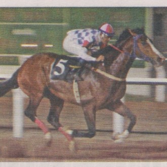 Tarumã -15/07/205 – No sétimo páreo Premio Jornal O Estado do Paraná