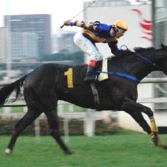 Glória de Campeão (Brz) – GP. Presidente Antonio T. Assumpção Netto Gr.3  
