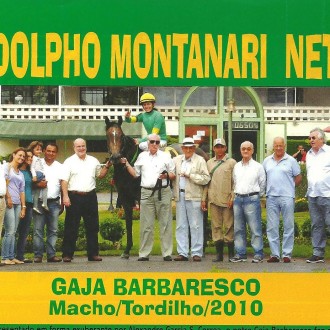 POTRO CRIADO NO SANTARÉM POR PAULO RODOLFO FISCHER ESTRÉIA ESPETACULARMENTE EM CJ