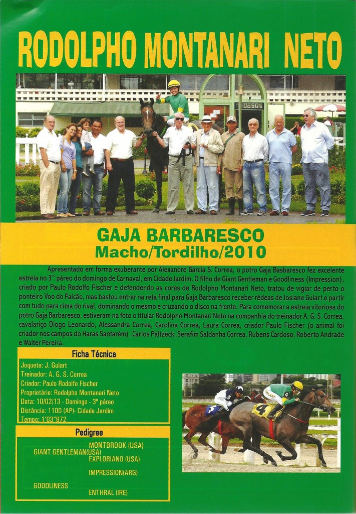 Gaja Barbaresco_02.2013 (1)