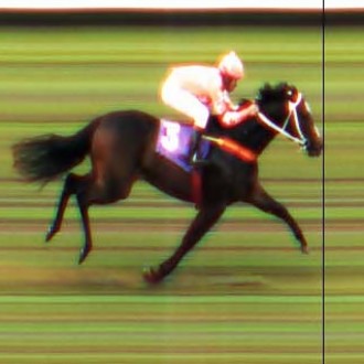 PENSIONISTA FILHA DE TIGER HEART, NASCIDA E CRIADA NO HARAS SANTARÉM PARA PAULO RODOLFO FISCHER, LARGA E ACABA NA PRIMEIRA PROVA DA GERAÇÃO EM CJ – 30/11/2013