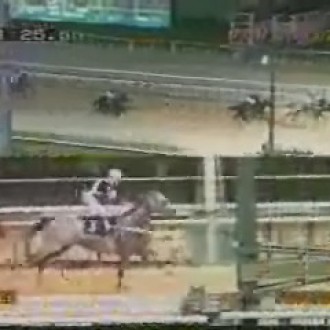 GÁVEA – 17/02/2007