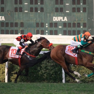 Cidade Jardim – 05/11/2011- CRIOULO