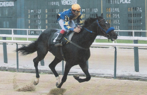 Glória de Campeão 26.11
