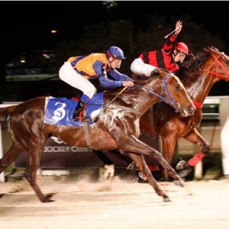 Gávea – 17/08/2012 – GOOD TIGER