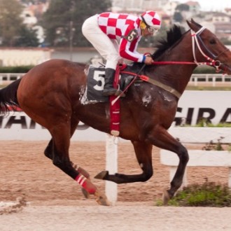 Tarumã – 22/07/2011