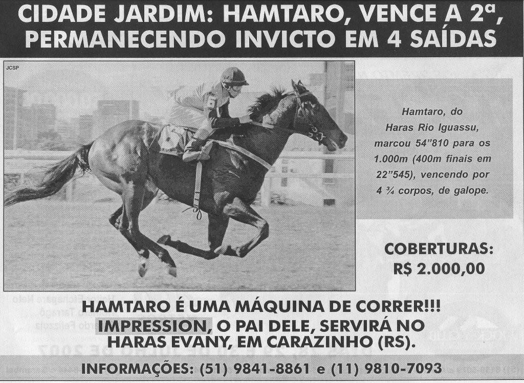 HAMTARO - JORNAL DO TURFE