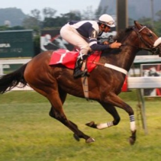 FILHA DE TIGER HEART VENCE LISTED NA GÁVEA DE PONTA À PONTA E É NOVA LÍDER DA TURMA – RJ: Hot vence o clássico das potrancas e é líder – 03/03/2012