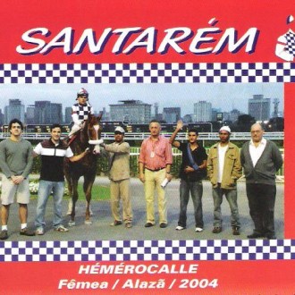 Cidade Jardim – 17/11/2007