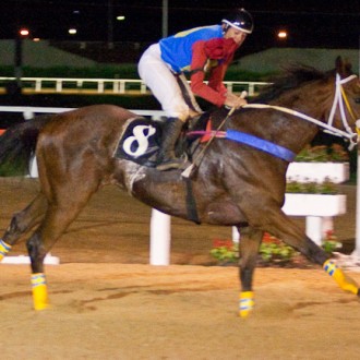 Tarumã – 07/05/2010 – ILVESSILOTRICOLOR