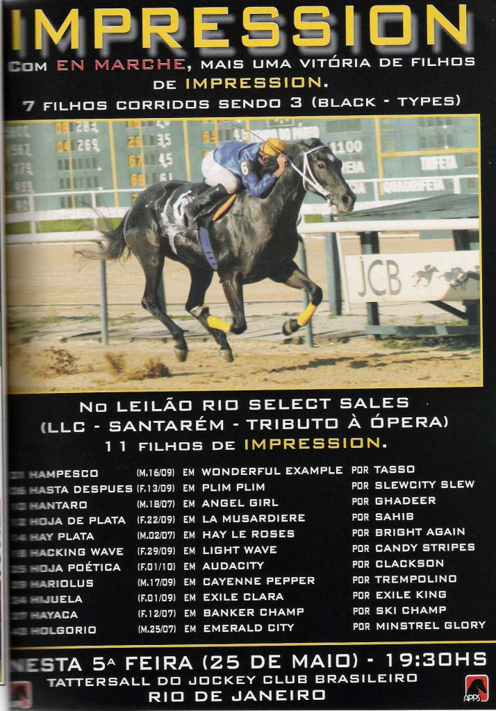 IMPRESSION-LEILÃO-25.05
