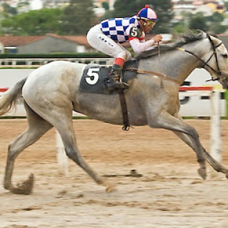 Tarumã – 17/10/2008