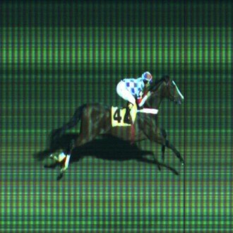 Cidade Jardim – 19/06/2011