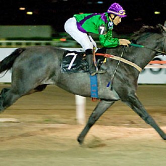 Tarumã – 16/08/2008