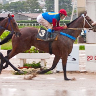 Tarumã – 29/01/2010 – ILVESSILOTRICOLOR