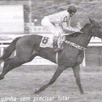 Retrospecto