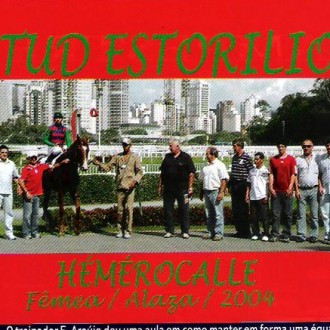 Cidade Jardim – 10/01/2009