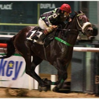 Especial Dubai World Cup 2009