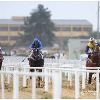 FILHO DE TIGER HEART VENCE PENCA NA FAZENDA RIO GRANDE – Invencívelzeppe vence o Grande Prêmio Cidade de Fazenda Rio Grande – 27/08/2013