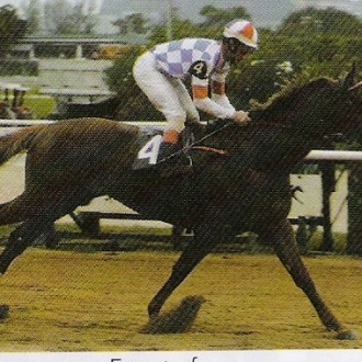 HOMENAGEM A QUEM MERECE