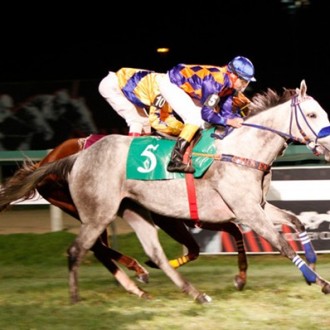 Cidade Jardim – 02/07/2012 – JINGLE SOUND