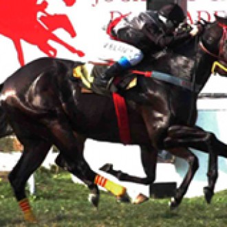 JETON DE LUXO – 15/07/2010
