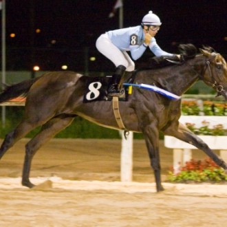 HARAS SANTARÉM FAZ PONTA E DUPLA COM JEU DE MOTS (IMPRESSION) E JUSJURANDUM NA SEGUNDA PROVA DA TRÍPLICE COROA PARANAENSE – Hipódromo do Tarumã, 19/3/2010 – “Grande Prêmio Alô Ticolaut Guimarães” (L) 2a prova da Tríplice Coroa – 1.900 metros areia, produtos de 3 anos